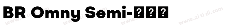 BR Omny Semi字体转换